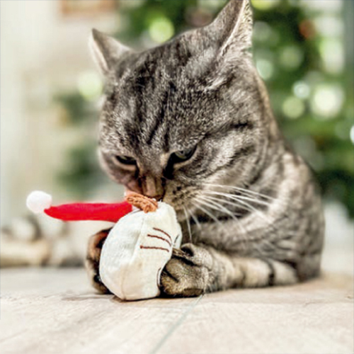 Aumüller 奧咪樂 德國貓草玩具-聖誕喵~~聖誕節限定